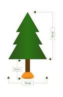 Choinka - Świerk kaukaski na pniu 160 cm