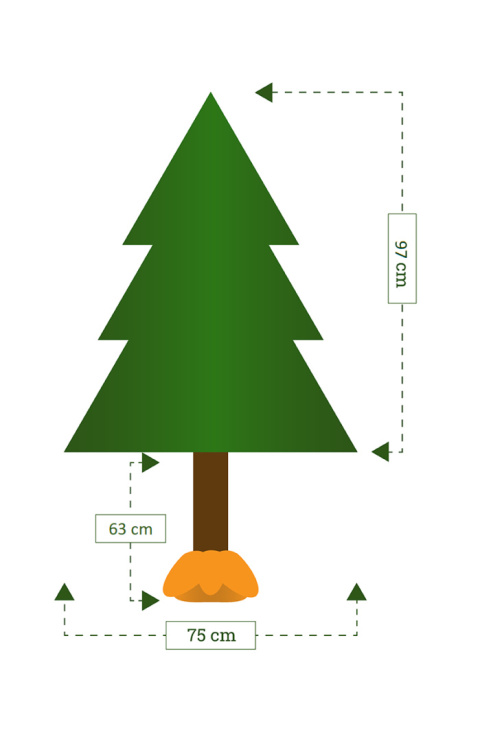 Choinka - Świerk kaukaski na pniu 160 cm Choinka - Świerk kaukaski na pniu 160 cm
