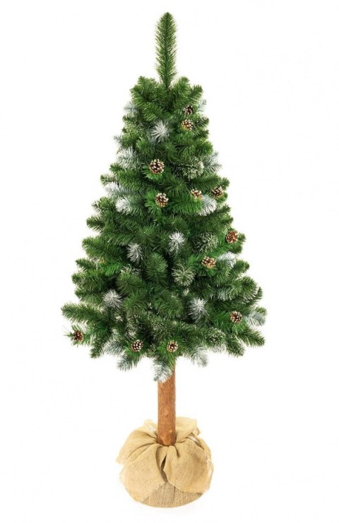 Choinka - Sosna diamentowa Premium na pniu 180 cm Choinka - Sosna diamentowa Premium na pniu 180 cm