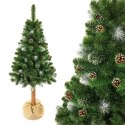 Choinka - Sosna diamentowa Premium na pniu 180 cm